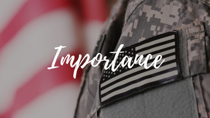 The Importance of Veterans Health Library